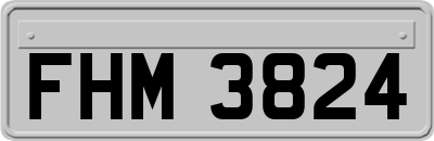 FHM3824