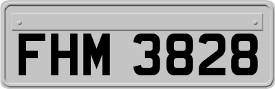 FHM3828