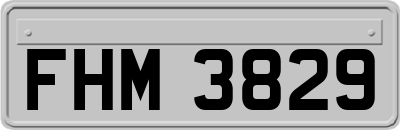 FHM3829