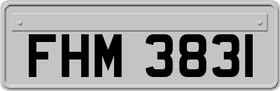FHM3831