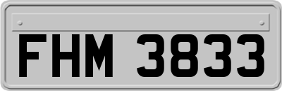 FHM3833