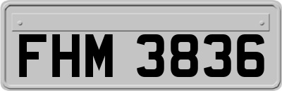 FHM3836