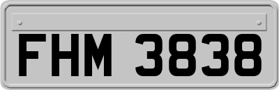 FHM3838