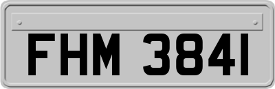FHM3841