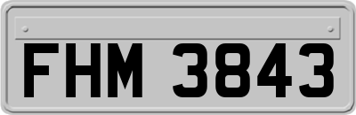 FHM3843