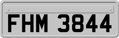 FHM3844