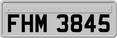 FHM3845