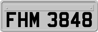 FHM3848