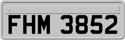FHM3852