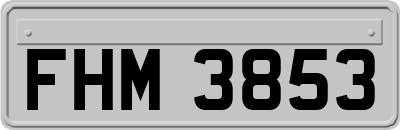 FHM3853