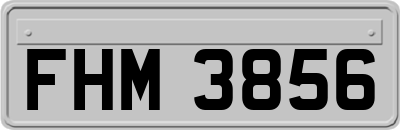 FHM3856