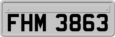 FHM3863