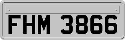 FHM3866