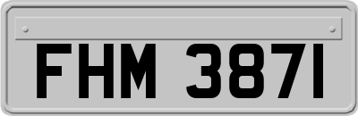 FHM3871