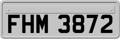 FHM3872