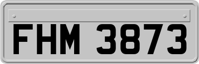 FHM3873