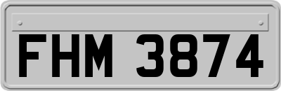 FHM3874