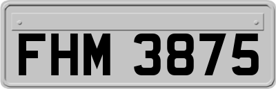 FHM3875