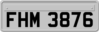 FHM3876