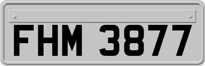 FHM3877