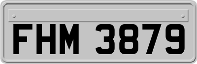 FHM3879