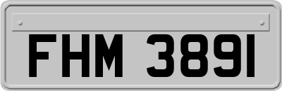 FHM3891