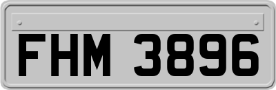 FHM3896