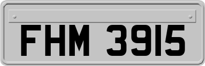 FHM3915