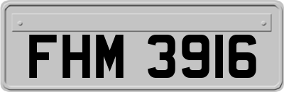 FHM3916