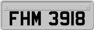 FHM3918