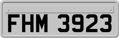FHM3923
