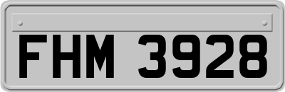 FHM3928
