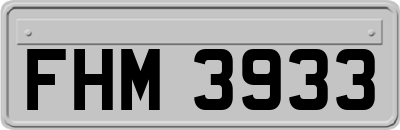 FHM3933