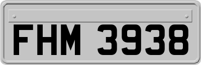 FHM3938