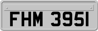 FHM3951