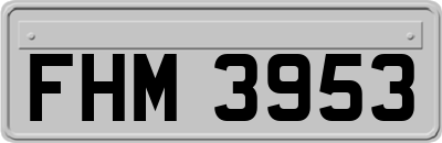 FHM3953