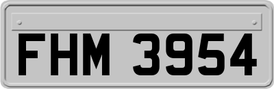 FHM3954