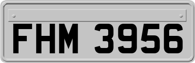 FHM3956