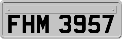 FHM3957