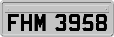 FHM3958