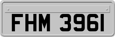 FHM3961