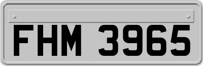 FHM3965