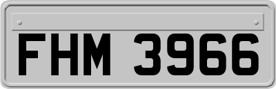 FHM3966