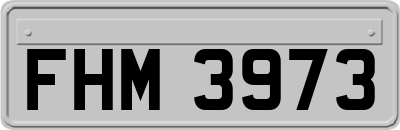 FHM3973