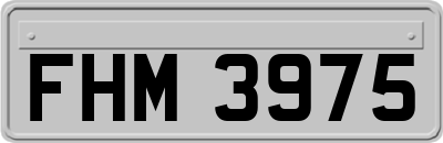 FHM3975