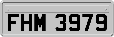 FHM3979