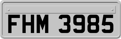 FHM3985