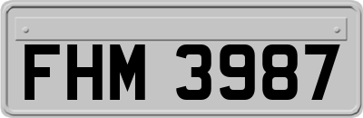 FHM3987
