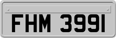 FHM3991