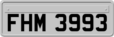 FHM3993